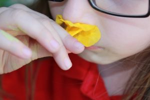 Relación entre el sentido del olfato y las emociones