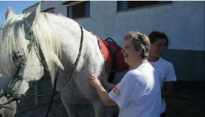 Terapia con animales con pacientes de daño cerebral de hospitales vithas