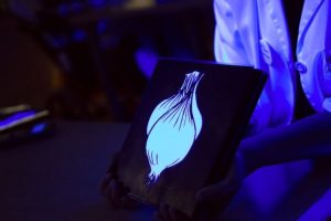 La neuropsicología estudia la relación existente entre el cerebro y el comportamiento