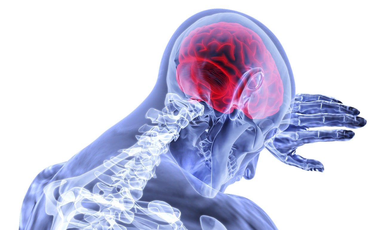 el Daño Cerebral Adquirido ocupa un lugar primordial el daño cerebral causado por la enfermedad cerebral vascular