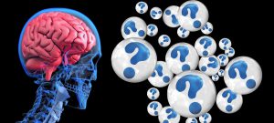 El cerebro y las expectativas
